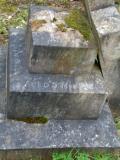 image of grave number 219846